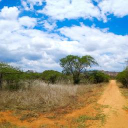 Cangandala Nationalpark erstrahlt in vollem Glanz: Aufgenommen mit einem Weitwinkelobjektiv direkt vor dieser atemberaubenden Sehenswürdigkeit in Angola