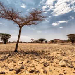 Chad Basin National Park erstrahlt in vollem Glanz: Aufgenommen mit einem Weitwinkelobjektiv direkt vor dieser atemberaubenden Sehenswürdigkeit in Nigeria