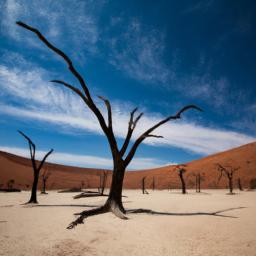 Deadvlei erstrahlt in vollem Glanz: Aufgenommen mit einem Weitwinkelobjektiv direkt vor dieser atemberaubenden Sehenswürdigkeit in Namibia