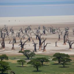 Gashaka Gumti National Park erstrahlt in vollem Glanz: Aufgenommen mit einem Weitwinkelobjektiv direkt vor dieser atemberaubenden Sehenswürdigkeit in Nigeria