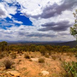 Hlane Royal National Park erstrahlt in vollem Glanz: Aufgenommen mit einem Weitwinkelobjektiv direkt vor dieser atemberaubenden Sehenswürdigkeit in Eswatini