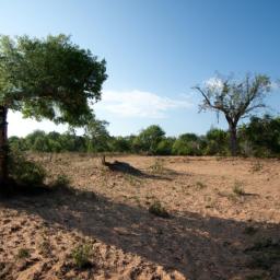 Kissama Nationalpark erstrahlt in vollem Glanz: Aufgenommen mit einem Weitwinkelobjektiv direkt vor dieser atemberaubenden Sehenswürdigkeit in Angola