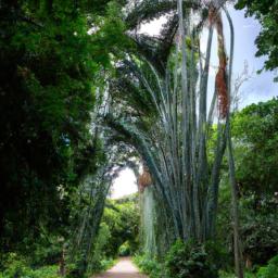 Limbe Botanic Garden erstrahlt in vollem Glanz: Aufgenommen mit einem Weitwinkelobjektiv direkt vor dieser atemberaubenden Sehenswürdigkeit in Kamerun