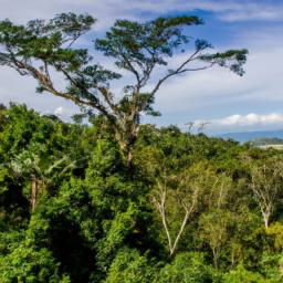 Malabo National Park erstrahlt in vollem Glanz: Aufgenommen mit einem Weitwinkelobjektiv direkt vor dieser atemberaubenden Sehenswürdigkeit in Äquatorialguinea