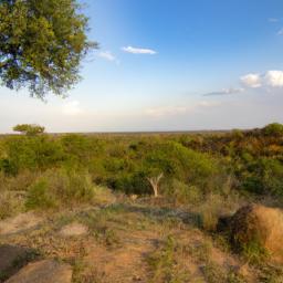 Mokolodi Nature Reserve erstrahlt in vollem Glanz: Aufgenommen mit einem Weitwinkelobjektiv direkt vor dieser atemberaubenden Sehenswürdigkeit in Botswana