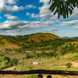 Mount Nimba Strict Nature Reserve erstrahlt in vollem Glanz: Aufgenommen mit einem Weitwinkelobjektiv direkt vor dieser atemberaubenden Sehenswürdigkeit in Liberia