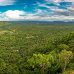 Mount Nimba Strict Nature Reserve erstrahlt in vollem Glanz: Aufgenommen mit einem Weitwinkelobjektiv direkt vor dieser atemberaubenden Sehenswürdigkeit in Guinea