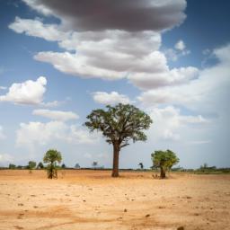 Nationalpark Haut Niger erstrahlt in vollem Glanz: Aufgenommen mit einem Weitwinkelobjektiv direkt vor dieser atemberaubenden Sehenswürdigkeit in Guinea