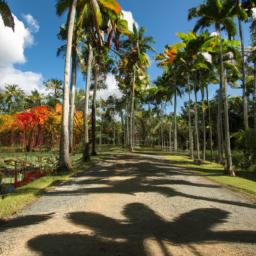 Pamplemousses Botanical Garden erstrahlt in vollem Glanz: Aufgenommen mit einem Weitwinkelobjektiv direkt vor dieser atemberaubenden Sehenswürdigkeit in Mauritius