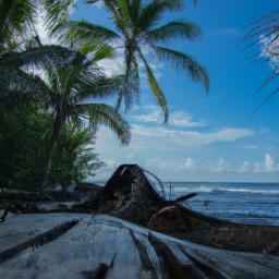 Cahuita Point erstrahlt in vollem Glanz: Aufgenommen mit einem Weitwinkelobjektiv direkt vor dieser atemberaubenden Sehenswürdigkeit in Cahuita