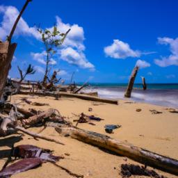 Cahuita Town erstrahlt in vollem Glanz: Aufgenommen mit einem Weitwinkelobjektiv direkt vor dieser atemberaubenden Sehenswürdigkeit in Cahuita