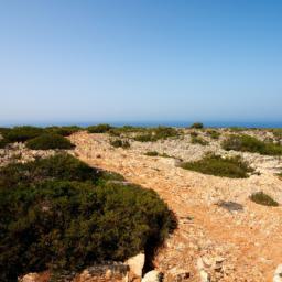 Cape Greco National Forest Park erstrahlt in vollem Glanz: Aufgenommen mit einem Weitwinkelobjektiv direkt vor dieser atemberaubenden Sehenswürdigkeit in Zypern