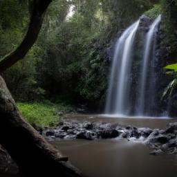 Annandale Waterfall erstrahlt in vollem Glanz: Aufgenommen mit einem Weitwinkelobjektiv direkt vor dieser atemberaubenden Sehenswürdigkeit in Grenada