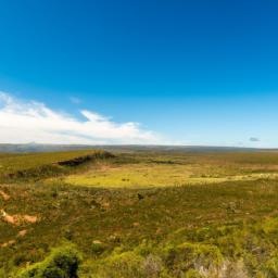 Addo Elephant National Park erstrahlt in vollem Glanz: Aufgenommen mit einem Weitwinkelobjektiv direkt vor dieser atemberaubenden Sehenswürdigkeit in Südafrika