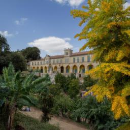 Botanischer Garten der Universität Coimbra erstrahlt in vollem Glanz: Aufgenommen mit einem Weitwinkelobjektiv direkt vor dieser atemberaubenden Sehenswürdigkeit in Coimbra