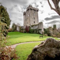 Blarney Castle erstrahlt in vollem Glanz: Aufgenommen mit einem Weitwinkelobjektiv direkt vor dieser atemberaubenden Sehenswürdigkeit in Irland