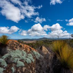 Farley Hill National Park erstrahlt in vollem Glanz: Aufgenommen mit einem Weitwinkelobjektiv direkt vor dieser atemberaubenden Sehenswürdigkeit in Barbados