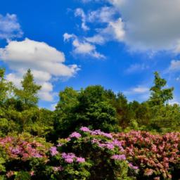 Flower Forest erstrahlt in vollem Glanz: Aufgenommen mit einem Weitwinkelobjektiv direkt vor dieser atemberaubenden Sehenswürdigkeit in Barbados