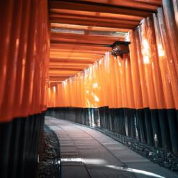 Fushimi Inari-Taisha, Kyoto erstrahlt in vollem Glanz: Aufgenommen mit einem Weitwinkelobjektiv direkt vor dieser atemberaubenden Sehenswürdigkeit in Japan