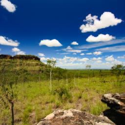 Kakadu National Park erstrahlt in vollem Glanz: Aufgenommen mit einem Weitwinkelobjektiv direkt vor dieser atemberaubenden Sehenswürdigkeit in Australien