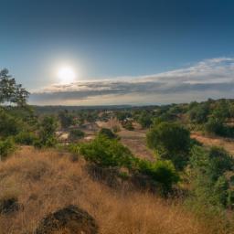 Kruger Nationalpark erstrahlt in vollem Glanz: Aufgenommen mit einem Weitwinkelobjektiv direkt vor dieser atemberaubenden Sehenswürdigkeit in Südafrika