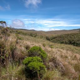 Horton Plains Nationalpark erstrahlt in vollem Glanz: Aufgenommen mit einem Weitwinkelobjektiv direkt vor dieser atemberaubenden Sehenswürdigkeit in Sri Lanka