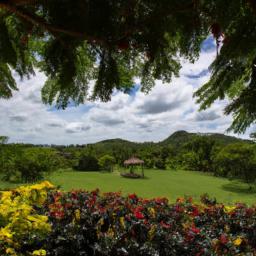 Jardin Botanico de Vinales erstrahlt in vollem Glanz: Aufgenommen mit einem Weitwinkelobjektiv direkt vor dieser atemberaubenden Sehenswürdigkeit in Vinales