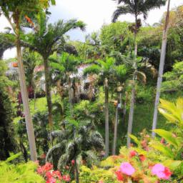 Jardín Botánico Lankester erstrahlt in vollem Glanz: Aufgenommen mit einem Weitwinkelobjektiv direkt vor dieser atemberaubenden Sehenswürdigkeit in Cartago