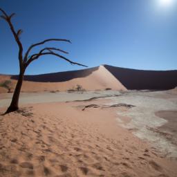 Sossusvlei erstrahlt in vollem Glanz: Aufgenommen mit einem Weitwinkelobjektiv direkt vor dieser atemberaubenden Sehenswürdigkeit in Namibia