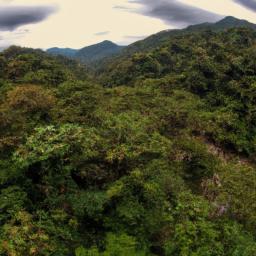 Monteverde Bat Jungle erstrahlt in vollem Glanz: Aufgenommen mit einem Weitwinkelobjektiv direkt vor dieser atemberaubenden Sehenswürdigkeit in Monteverde