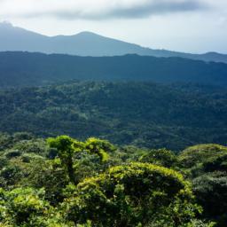 Monteverde Cloud Forest Reserve erstrahlt in vollem Glanz: Aufgenommen mit einem Weitwinkelobjektiv direkt vor dieser atemberaubenden Sehenswürdigkeit in Monteverde