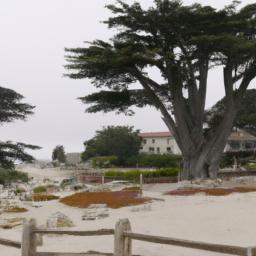 Monterey State Historic Park erstrahlt in vollem Glanz: Aufgenommen mit einem Weitwinkelobjektiv direkt vor dieser atemberaubenden Sehenswürdigkeit in Monterey