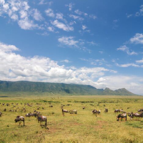 Top 8 Sehenswürdigkeiten in Südsudan: Karte, Tickets & mehr