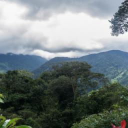 Santa Elena Cloud Forest Reserve erstrahlt in vollem Glanz: Aufgenommen mit einem Weitwinkelobjektiv direkt vor dieser atemberaubenden Sehenswürdigkeit in Monteverde