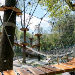 Selvatura Adventure Park erstrahlt in vollem Glanz: Aufgenommen mit einem Weitwinkelobjektiv direkt vor dieser atemberaubenden Sehenswürdigkeit in Monteverde