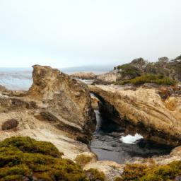 Point Lobos State Natural Reserve erstrahlt in vollem Glanz: Aufgenommen mit einem Weitwinkelobjektiv direkt vor dieser atemberaubenden Sehenswürdigkeit in Carmel by the Sea