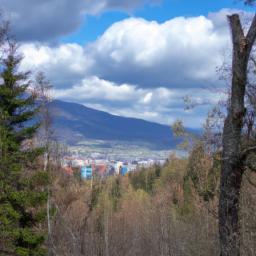 Poprad City Forest erstrahlt in vollem Glanz: Aufgenommen mit einem Weitwinkelobjektiv direkt vor dieser atemberaubenden Sehenswürdigkeit in Poprad