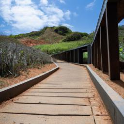 Port Moresby Nature Park erstrahlt in vollem Glanz: Aufgenommen mit einem Weitwinkelobjektiv direkt vor dieser atemberaubenden Sehenswürdigkeit in Papua-Neuguinea