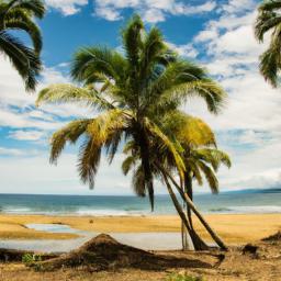 Playa Punta Uva erstrahlt in vollem Glanz: Aufgenommen mit einem Weitwinkelobjektiv direkt vor dieser atemberaubenden Sehenswürdigkeit in Puerto Viejo