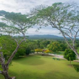 Royal Botanic Gardens, Trinidad erstrahlt in vollem Glanz: Aufgenommen mit einem Weitwinkelobjektiv direkt vor dieser atemberaubenden Sehenswürdigkeit in Trinidad und Tobago