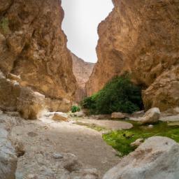 Wadi Shab, Tiwi erstrahlt in vollem Glanz: Aufgenommen mit einem Weitwinkelobjektiv direkt vor dieser atemberaubenden Sehenswürdigkeit in Oman