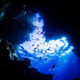 To Sua Ocean Trench erstrahlt in vollem Glanz: Aufgenommen mit einem Weitwinkelobjektiv direkt vor dieser atemberaubenden Sehenswürdigkeit in Samoa