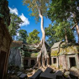 Ta Prohm Tempel erstrahlt in vollem Glanz: Aufgenommen mit einem Weitwinkelobjektiv direkt vor dieser atemberaubenden Sehenswürdigkeit in Kambodscha