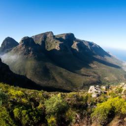 Tafelberg Nature Reserve erstrahlt in vollem Glanz: Aufgenommen mit einem Weitwinkelobjektiv direkt vor dieser atemberaubenden Sehenswürdigkeit in Surinam