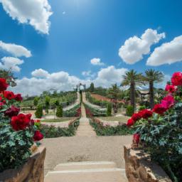 Taif Roses Park erstrahlt in vollem Glanz: Aufgenommen mit einem Weitwinkelobjektiv direkt vor dieser atemberaubenden Sehenswürdigkeit in Saudi-Arabien