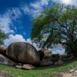 Yala Nationalpark erstrahlt in vollem Glanz: Aufgenommen mit einem Weitwinkelobjektiv direkt vor dieser atemberaubenden Sehenswürdigkeit in Sri Lanka